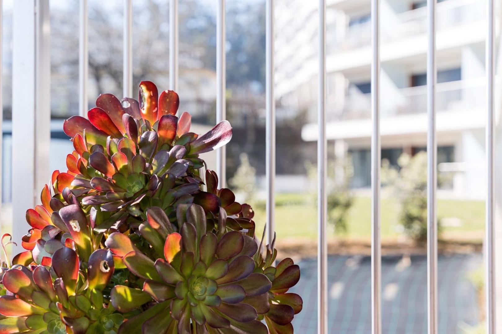 Guestready - Ideal Stay Near Estadio Do Dragao OOporto Exterior foto